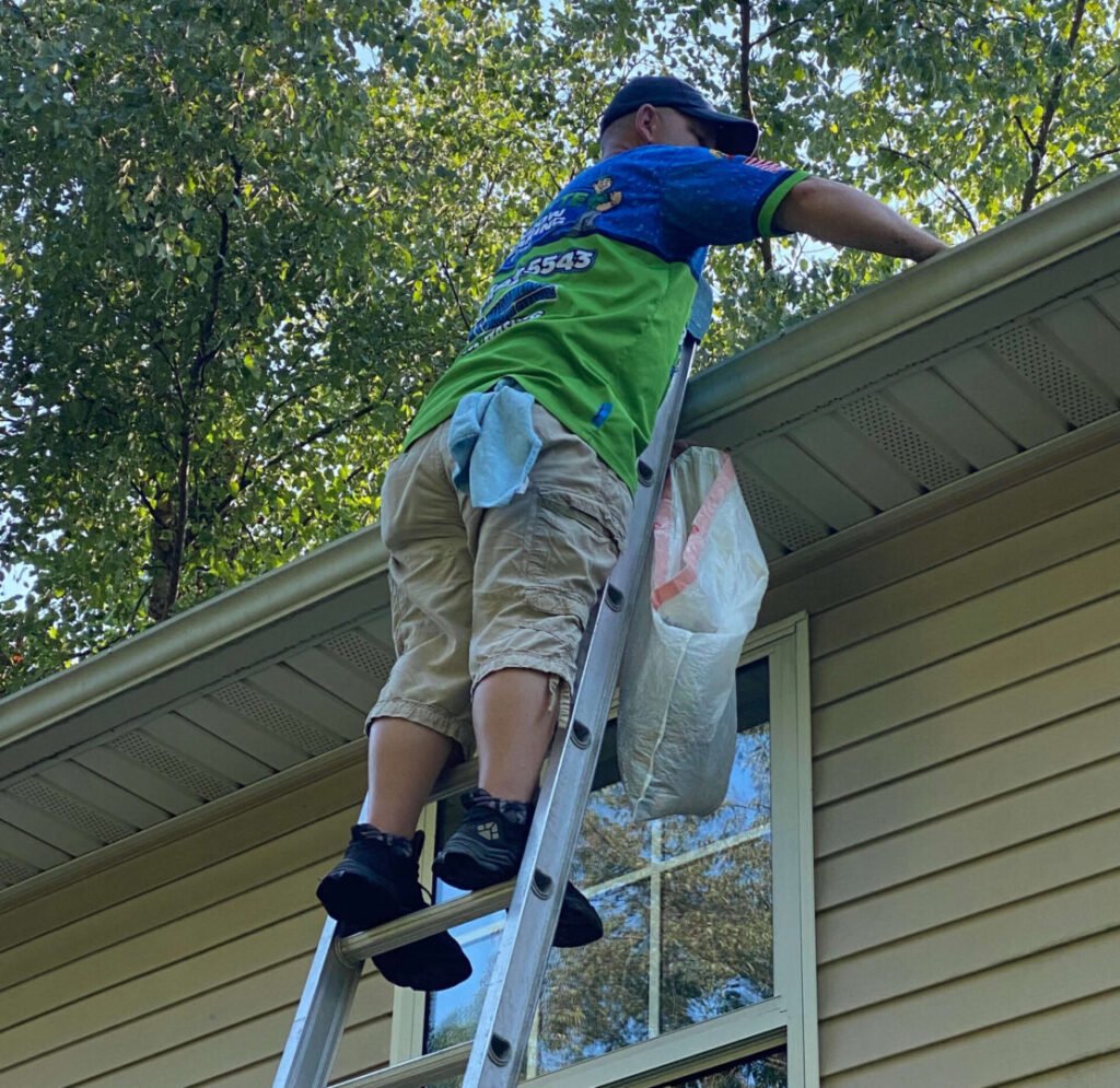 Ladder For Gutter Cleaning