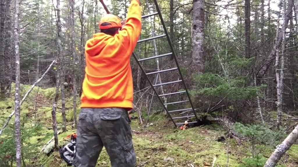 How To Put Up Ladder Stand By Yourself