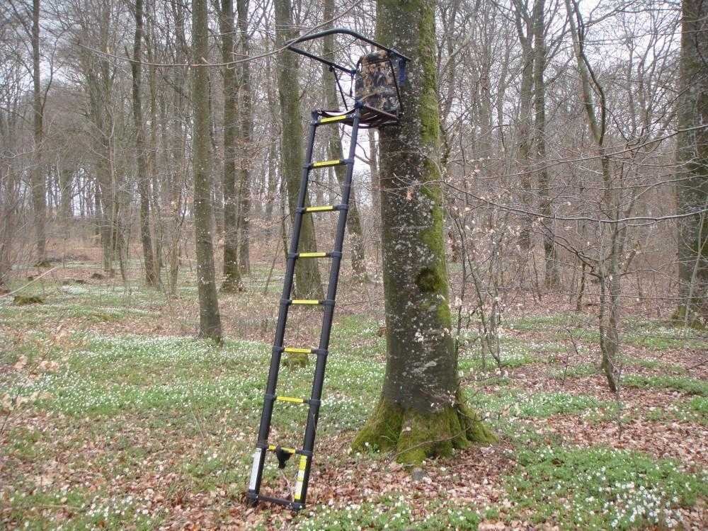 Ladder Tree Stands