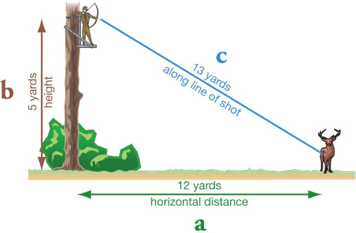 What is the Best Height for a Bow Stand for Deer?