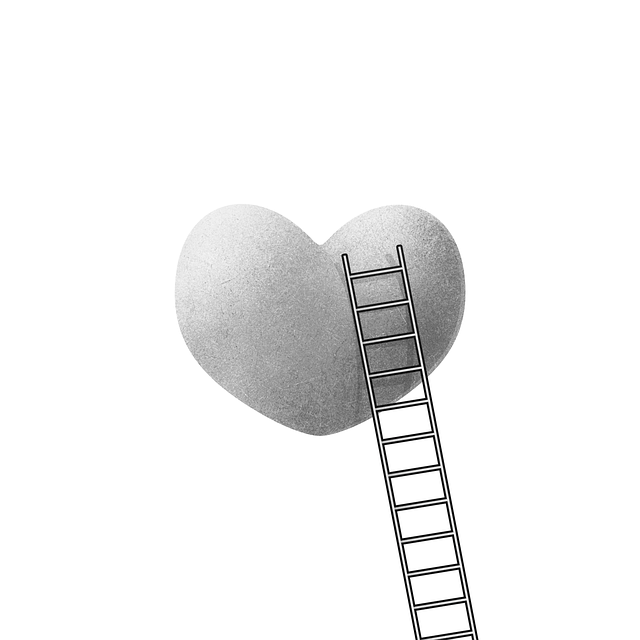 How Much Are Little Giant Ladders