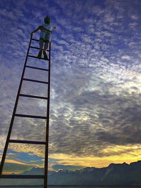 Types of Ladders WWE Uses