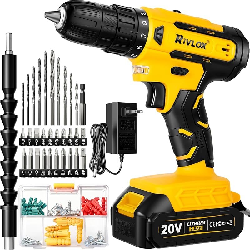 20V Cordless Drill/Driver - Electric Screwdriver with 2 Batteries for 